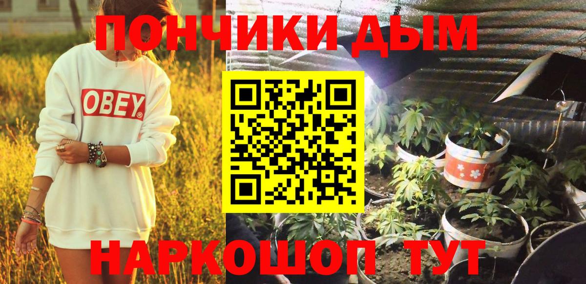 Бошки марихуана марихуана  Конопля планчик  Нарткала  Вход с VPN  Марихуана AK-47 